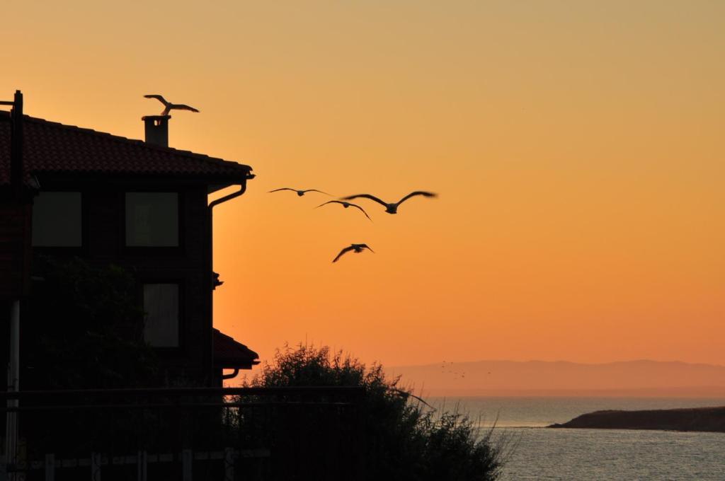 Deep Blue Guest House Sozopol Extérieur photo